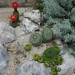 Natura *