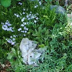 Apartment Natura Makarska