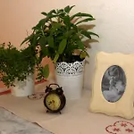 Natura Makarska