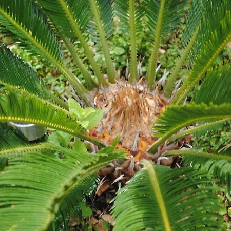 Appartamento Natura *