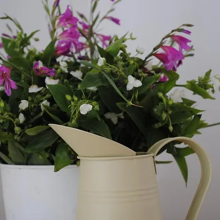 Appartamento Natura *