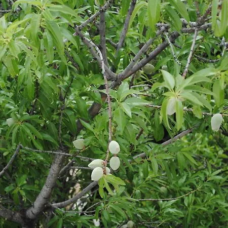 Natura Appartamento Makarska
