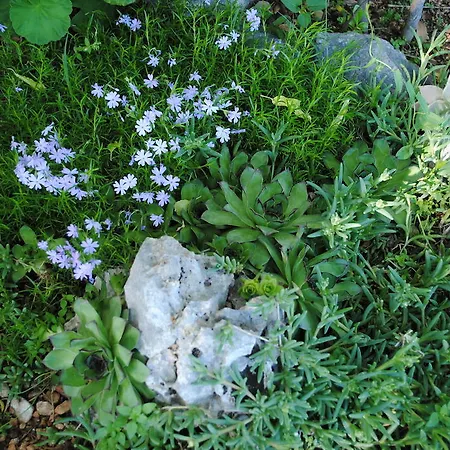 Daire Natura Makarska