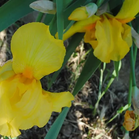 Appartamento Natura *