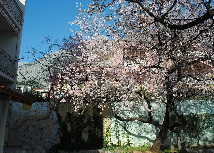 Natura מאקרסקה