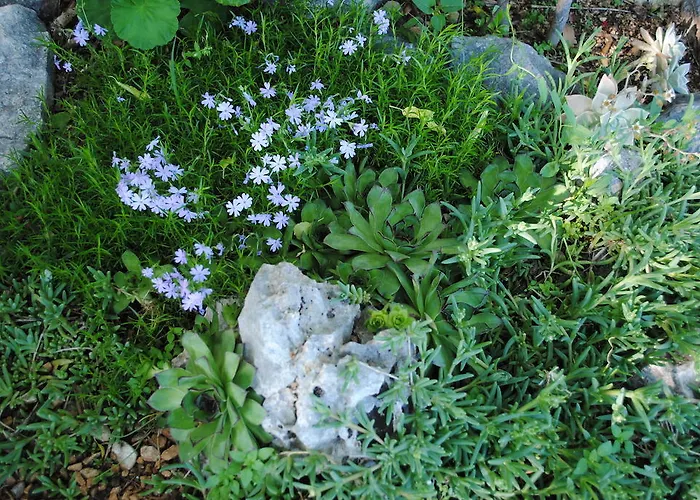 דירה Natura מאקרסקה