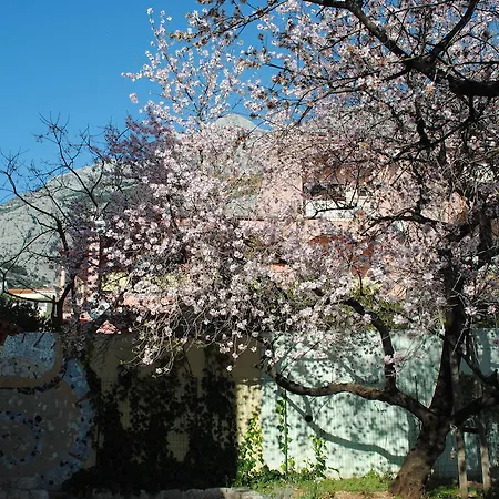 Natura Μακάρσκα