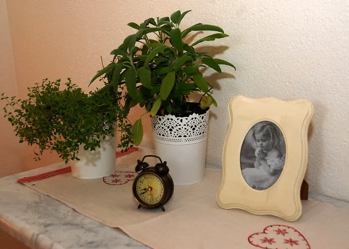 Natura ماكارسكا